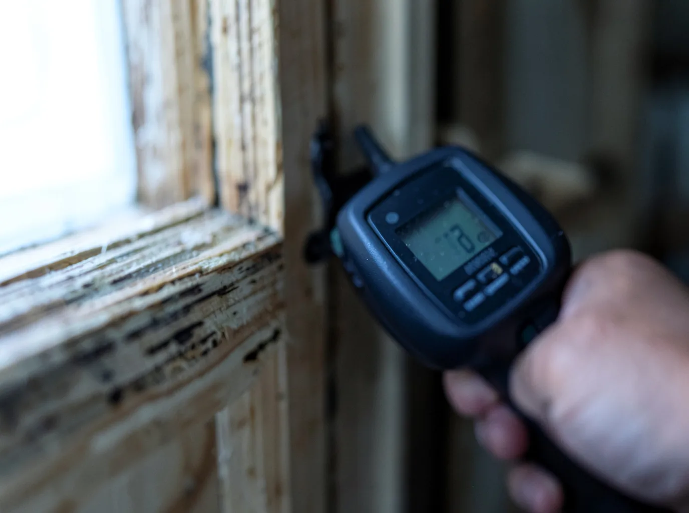 Moisture Inspection And Documentation in Bloomer, WI